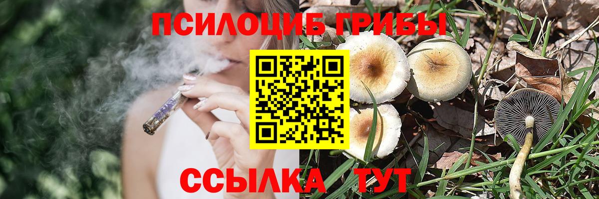 Городец  Псилоцибиновые грибы Psilocybe  цены наркотик  Вход с VPN 