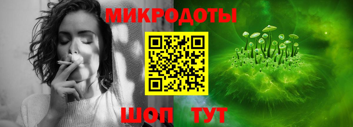 Псилоцибиновые грибы Psilocybe Городец